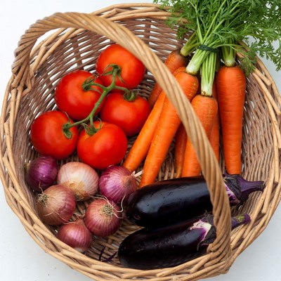 Fresh vegetables in basket from garden harvest