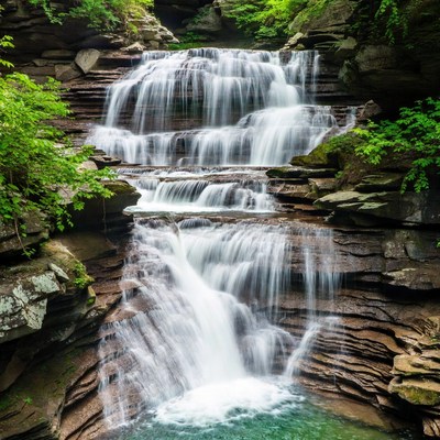 Waterfall in a forest setting