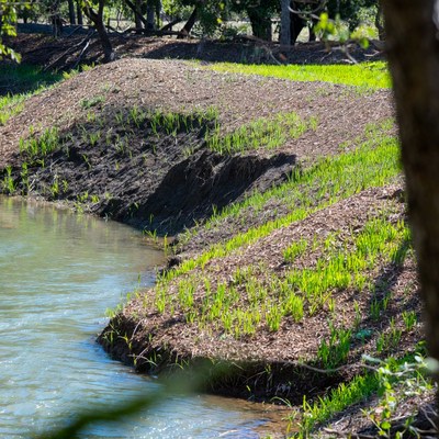 Waterway with new grass growth