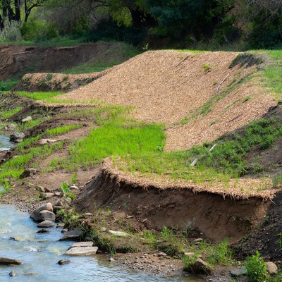 Riverbank restoration project in spring