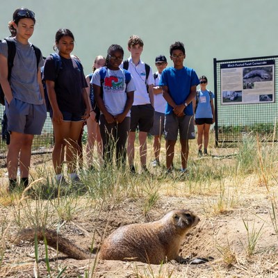 Students observe a wildlife scene