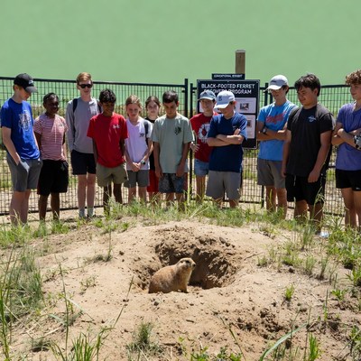 Students observe a black-footed ferret hole