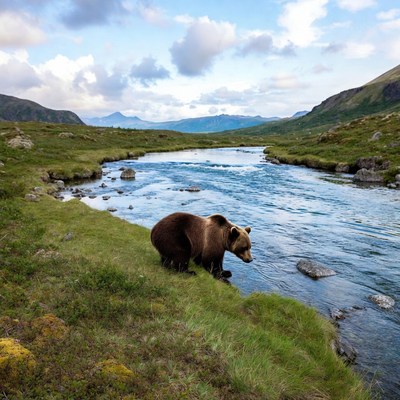 Bear near river in a landscape