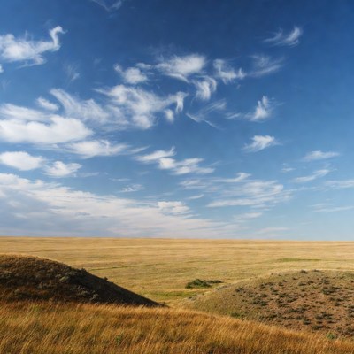 Open plains under a blue sky
