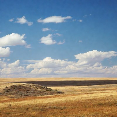 Wide open field under clear sky