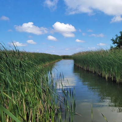Calm waterway surrounded by grass