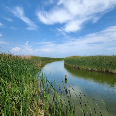 Waterway among tall grass under blue skies