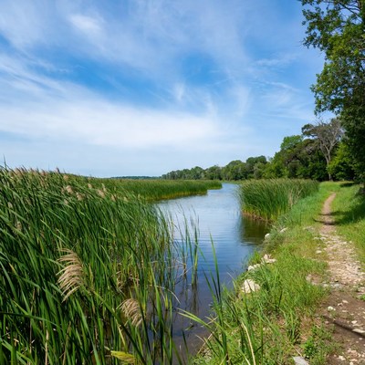 Walking path along a calm river