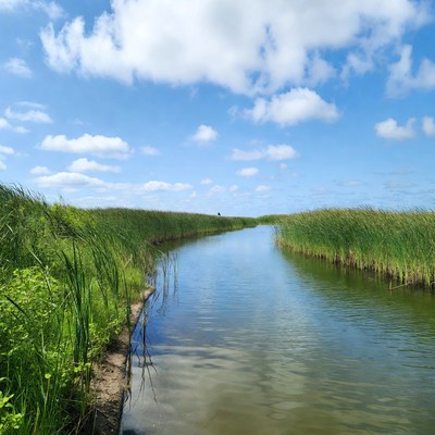 River winding through green grass