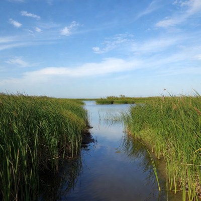 Waterway through green grasslands