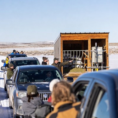 People in cars waiting in line