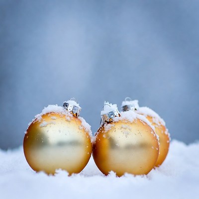 Golden ornaments in winter snow