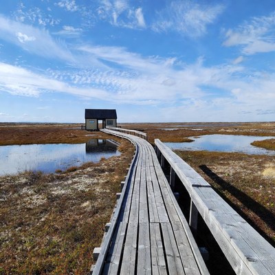 Boardwalk leads to small building