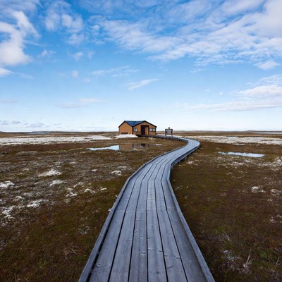 Wooden path leading to a house