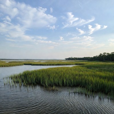 Wetlands during late afternoon sun