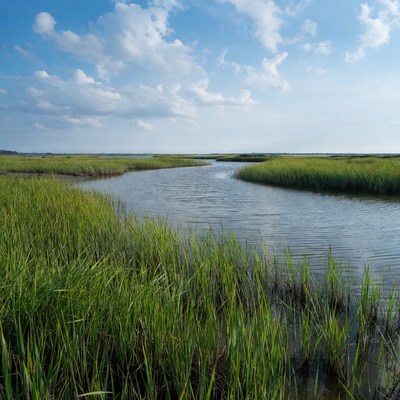 Marshland view with flowing water