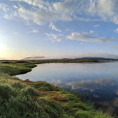 Scenic view of wetlands at dawn