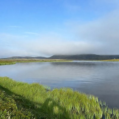 Calm lake with green grass in daytime