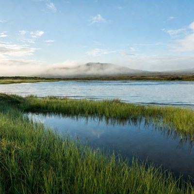 Morning light on the lake and grass
