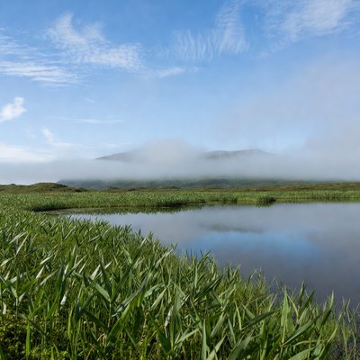 Water and grass at mountain landscape