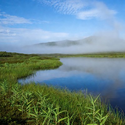 Mist over a peaceful lake in nature