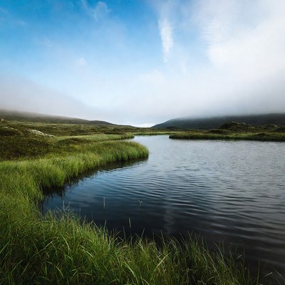 Scenic view of water and grasslands