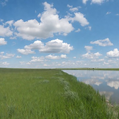 Green grass by calm water body