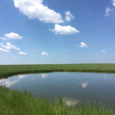 Clear day at the pond