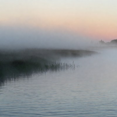 Fog over river at dawn