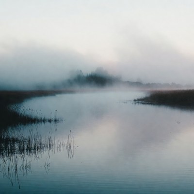 Fog over a river in the morning