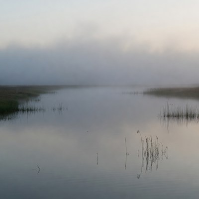 Fog over the water at dawn
