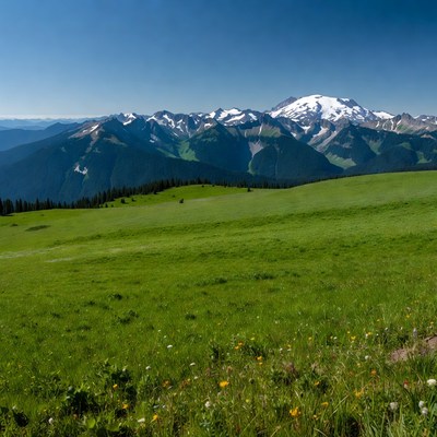 Green hills with distant snowy mountains
