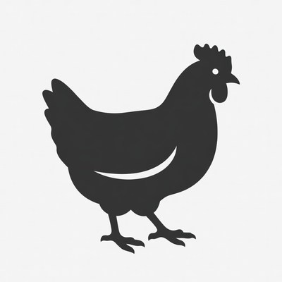 Chicken outline on white background