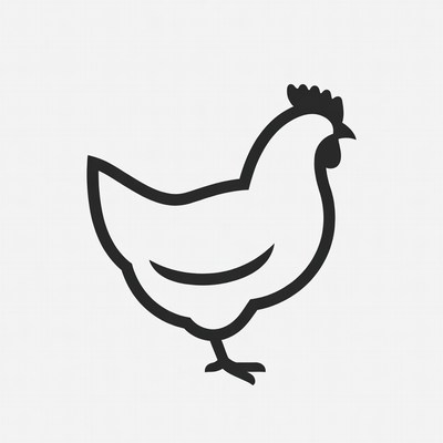 Chicken standing on one leg