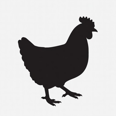 Chicken silhouette on white background