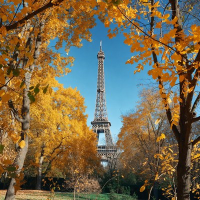 Eiffel tower framed by autumn leaves