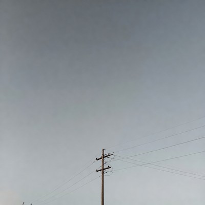 Power lines under a gray sky