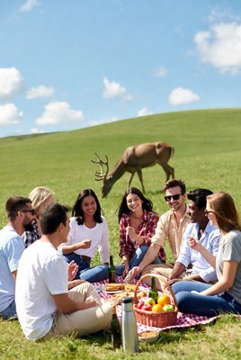 Friends having picnic with deer nearby