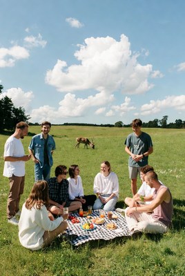 Friends enjoying picnic in a field