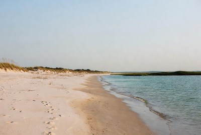 Sand and water meet at shore