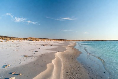 Sandy beach by the water in daylight