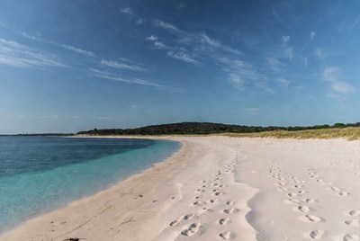 Footprints on a sandy beach