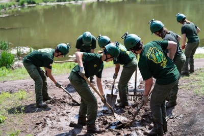 Groups work on lake shore restoration
