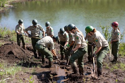 Rangers working on a wetland area