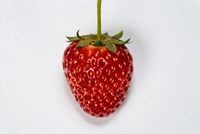 Red strawberry on white background