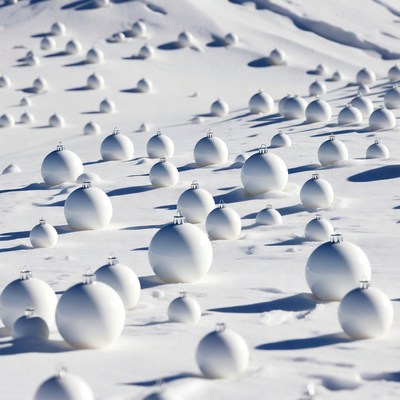 Snow-covered ornaments on white ground
