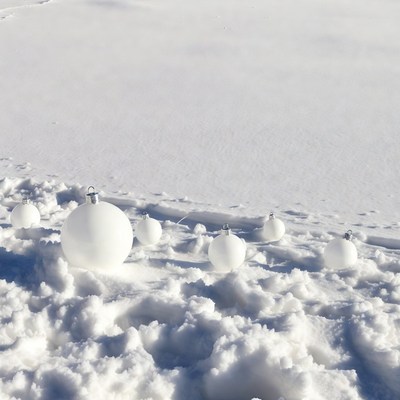 White ornaments in snow field