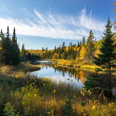 Autumn landscape by the lake