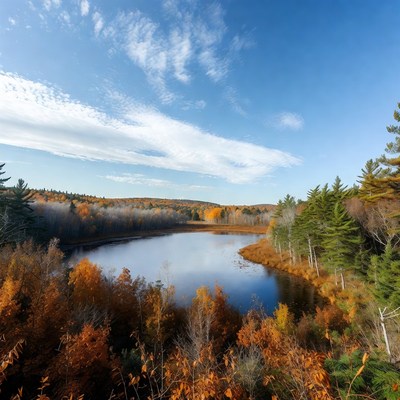 Autumn lake scene with trees