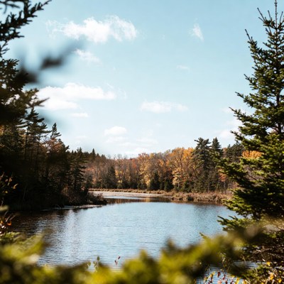 Lake view with trees in autumn